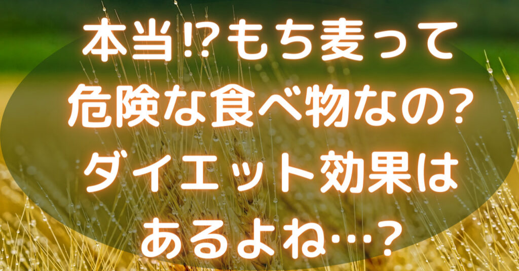もち麦畑
