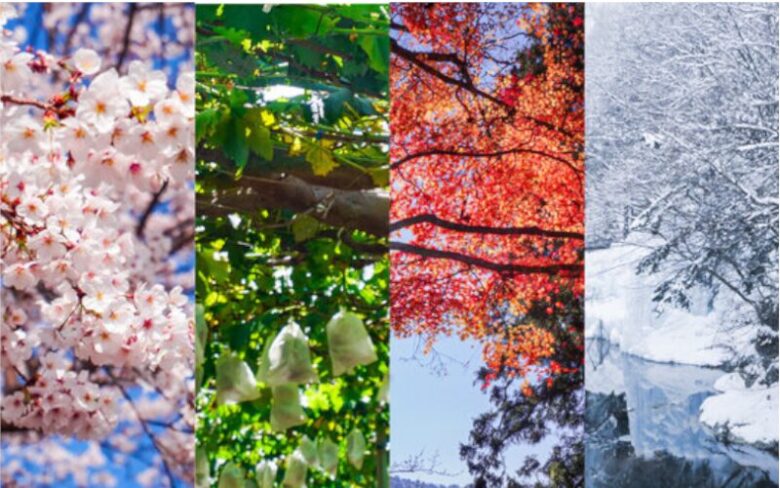 春夏秋冬の四季を4分割で表した写真