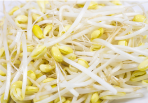 たくさんの豆もやし