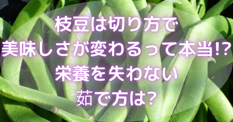 枝豆は切り方で美味しさが変わるって本当!?栄養を失わない茹で方は? | ネタラボブログ