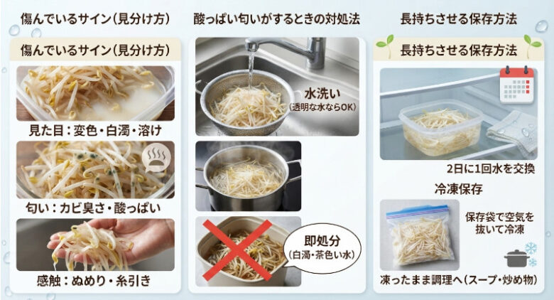 もやしの傷んでいるサイン（変色・匂い・ぬめり）の見分け方と、水に浸す冷蔵・冷凍の保存方法をまとめた一覧
