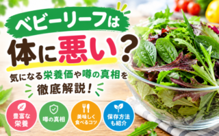 ベビーリーフの栄養価や「体に悪い」という噂の真相、正しい食べ方や保存方法を紹介するイメージ画像。