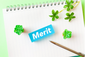 ノートの上に置かれたボールペンとMeritと書かれた水色の積木
