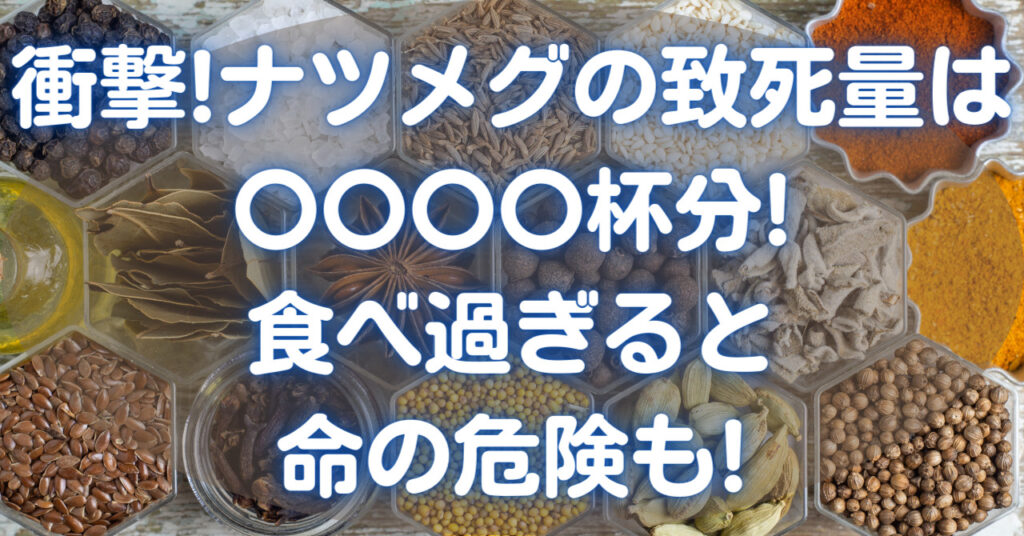 いろいろな種類のスパイス