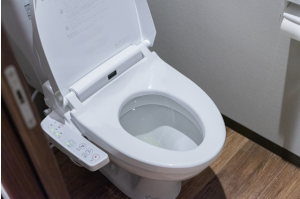 フタが開いたトイレ