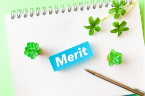 ノートの上に置かれたMeritと書かれた水色の棒とボールペン