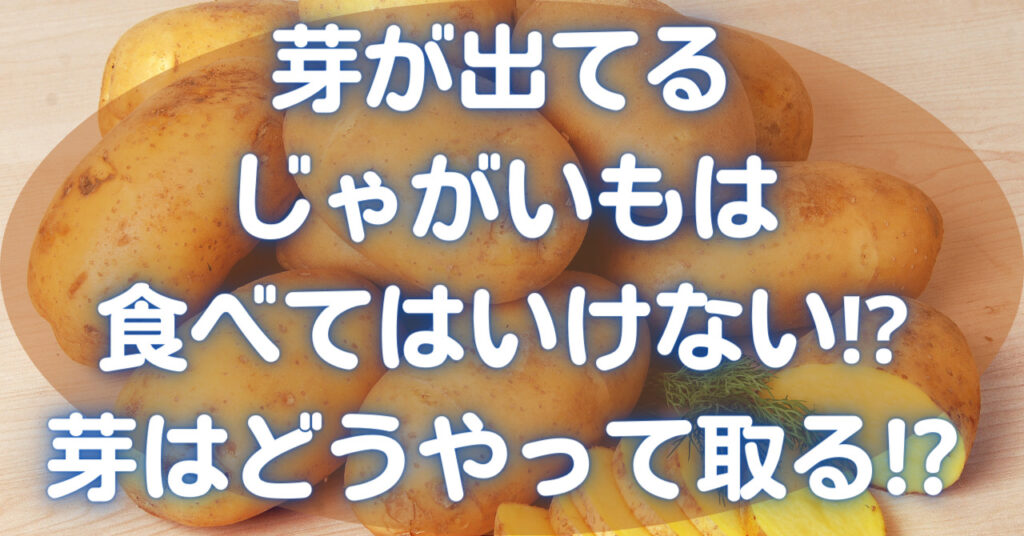 数個集まったじゃがいも