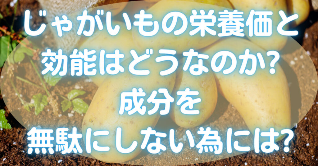 土の上に置かれた数個のじゃがいも