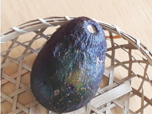 竹ざるに入ったアボカド