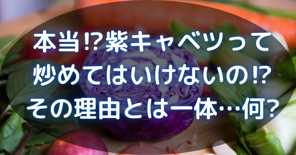 半分に切られた紫キャベツ