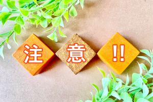注意!!と1文字ずつ書かれた3つのひし形の積木と偽物の葉っぱ